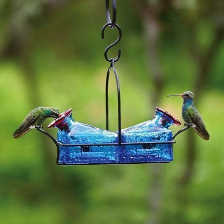 Comederos colibríes