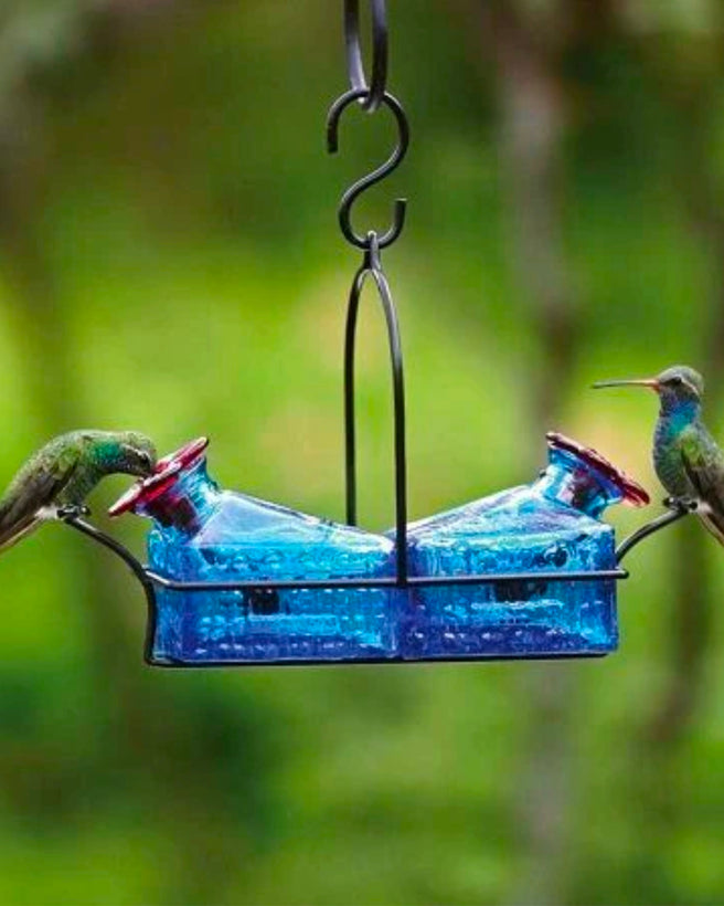 Comederos colibríes