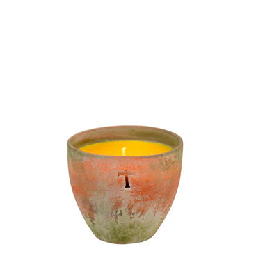 Vela Aromatica Citronella 368g / Bowl Contempo 10cm