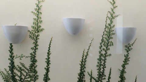 Jardinera de pared lisa blanco cristal