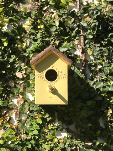 Casita para pájaro amarilla de pared para el jardín