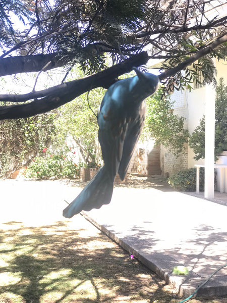 Urraco Cielo para el jardín