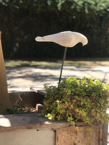 Paloma Dormida con Varilla Musgo Blanco para el jardín