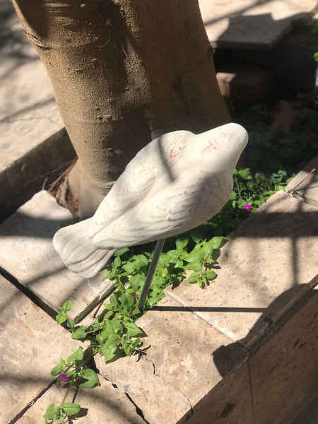 Paloma Dormida con Varilla Musgo Blanco para el jardín